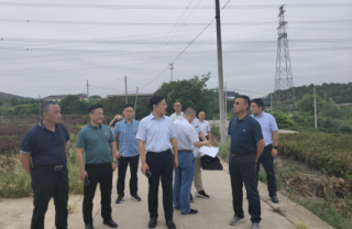 镇江市丹徒区政府副区长胡光亮、上党镇五塘村村民委员会书记陈永飞、江苏华电句容分公司项目办陈志荣主任、江苏PA捕鱼官方网站新能源集团公司总经理郑海青一行考察万亩茶园光伏项目